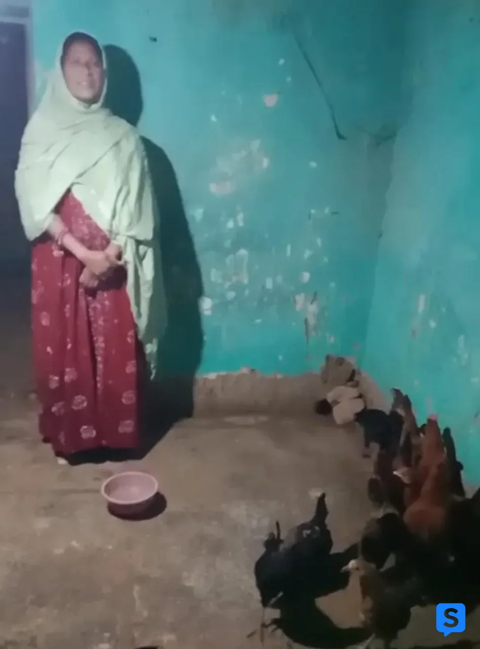 ​रायपुर : बसंती नाग बनीं आत्मनिर्भरता की मिसाल: ‘सेवा संकल्प अभियान’ के तहत चूजा पालन से संवर रही आजीविका